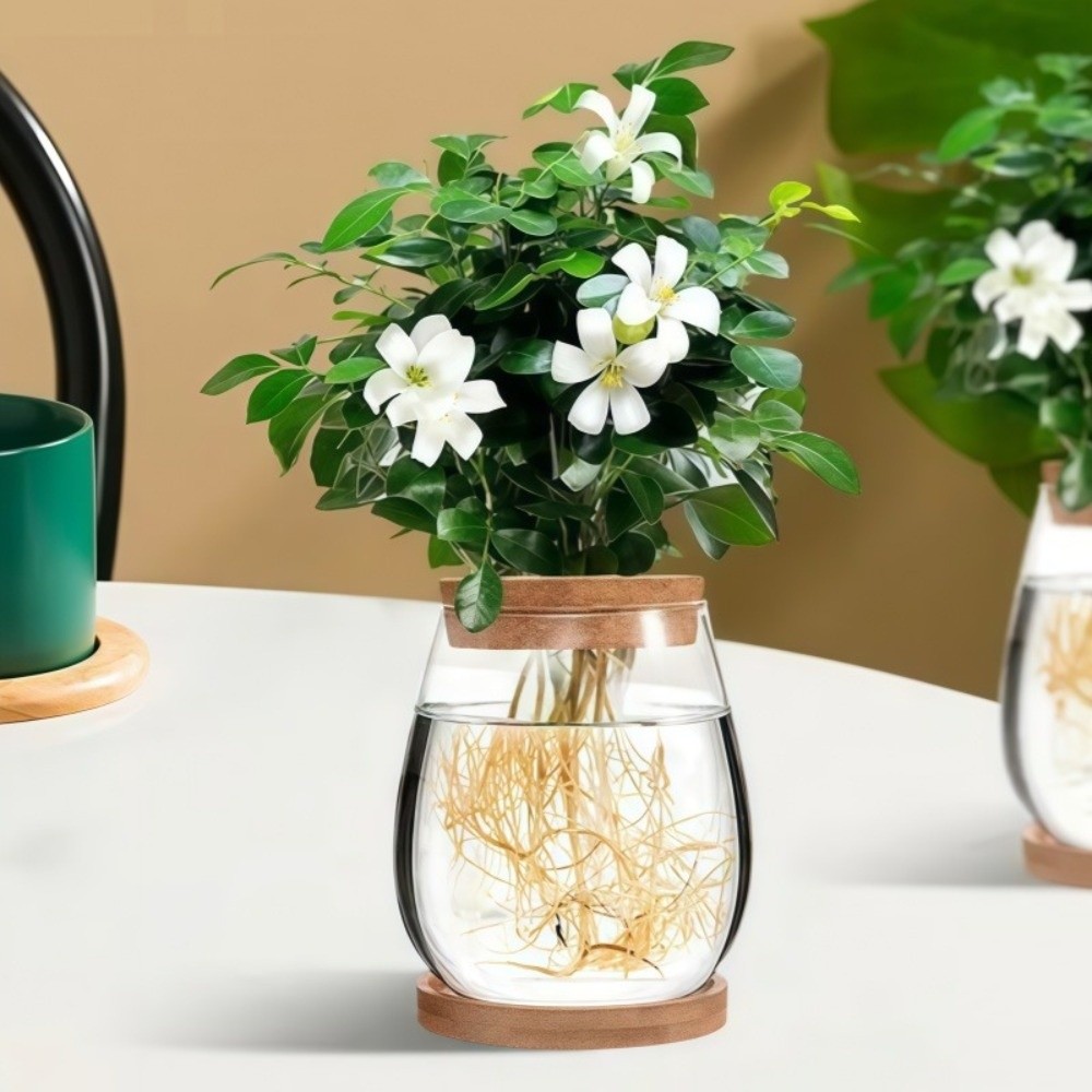 Propagation Station Vase - Transparenter Hydroponischer Blumentopf mit Holzuntersetzer, Glas-Pflanzenvermehrungsstation,
