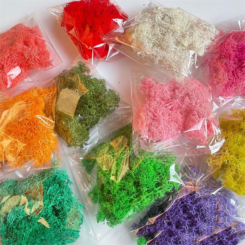 Sphagnum Moss Dry - 20–200 g künstliche Grünpflanzen, Polyester, Moosgras,