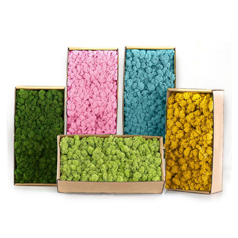 Sphagnum Moss Dry - Künstliche grüne Pflanzen, Mini-Landschaft, ewiges Leben,