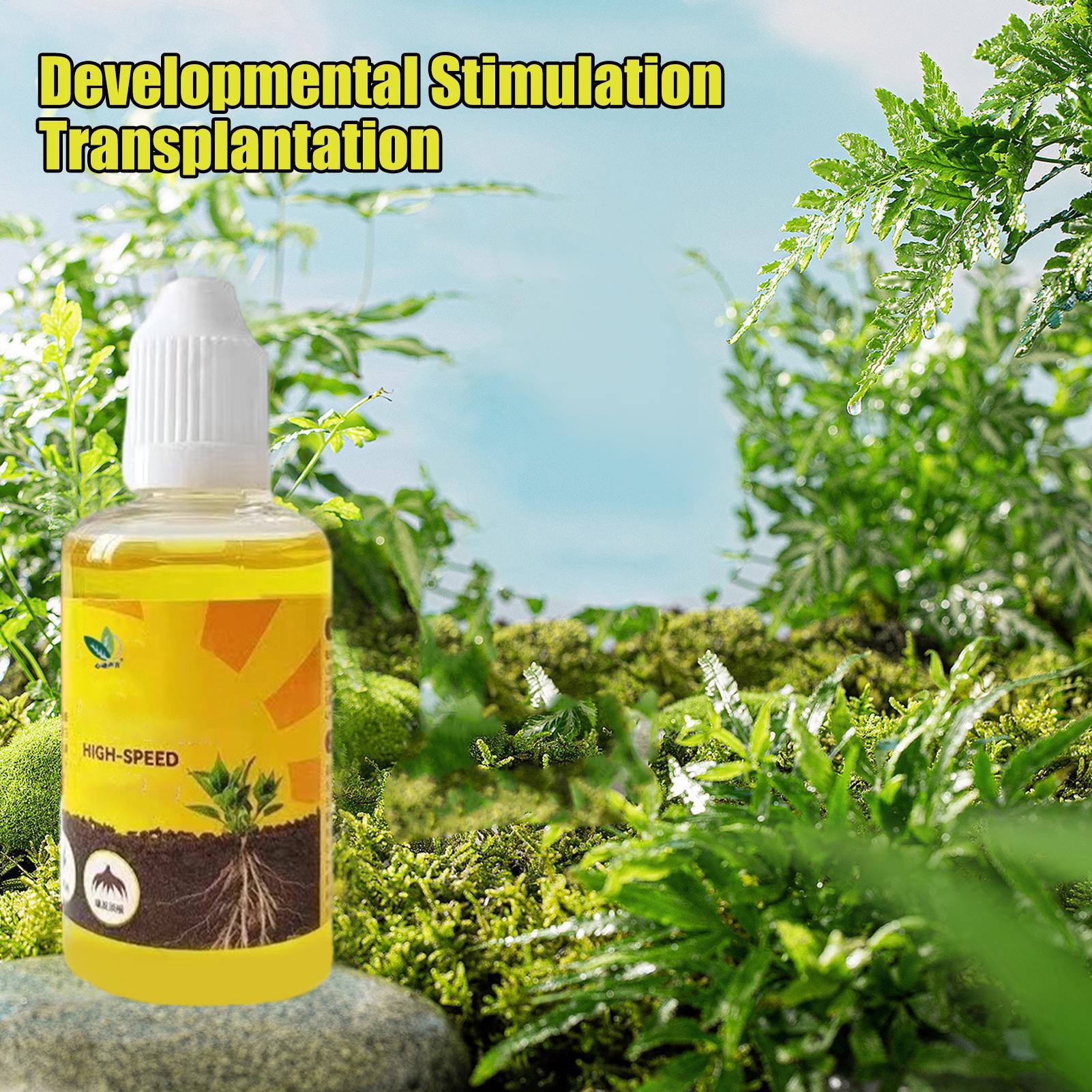 Root Stimulator Liquid - Pflanzenauferstehung Flüssigkeit 50 ml Blume Obst