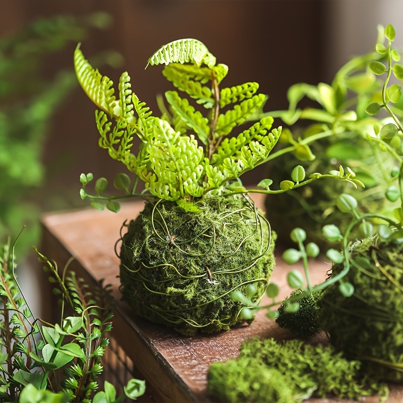 Künstlicher Moosball-Pflanzgef – Sphagnum Moss Dry Bewertung und Preis