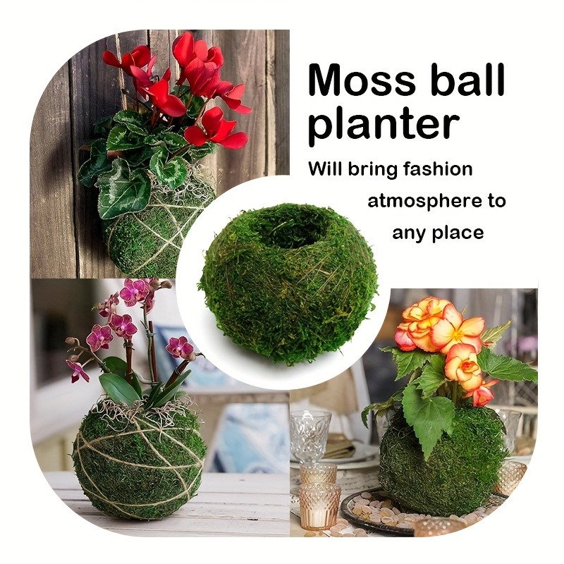 Künstlicher Moosball-Pflanzgef – Sphagnum Moss Dry Bewertung und Preis