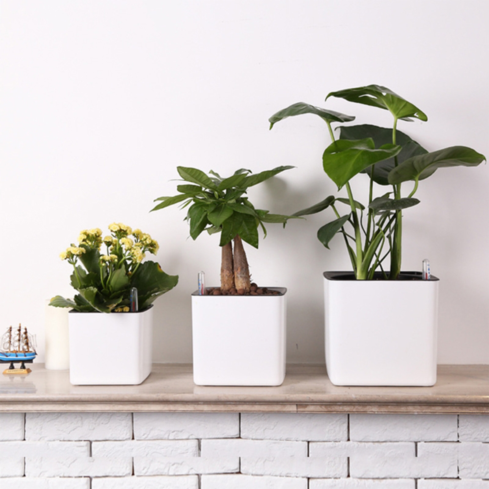 Automatische Selbst Bewässerun – Self Watering Insert Bewertung und Preis