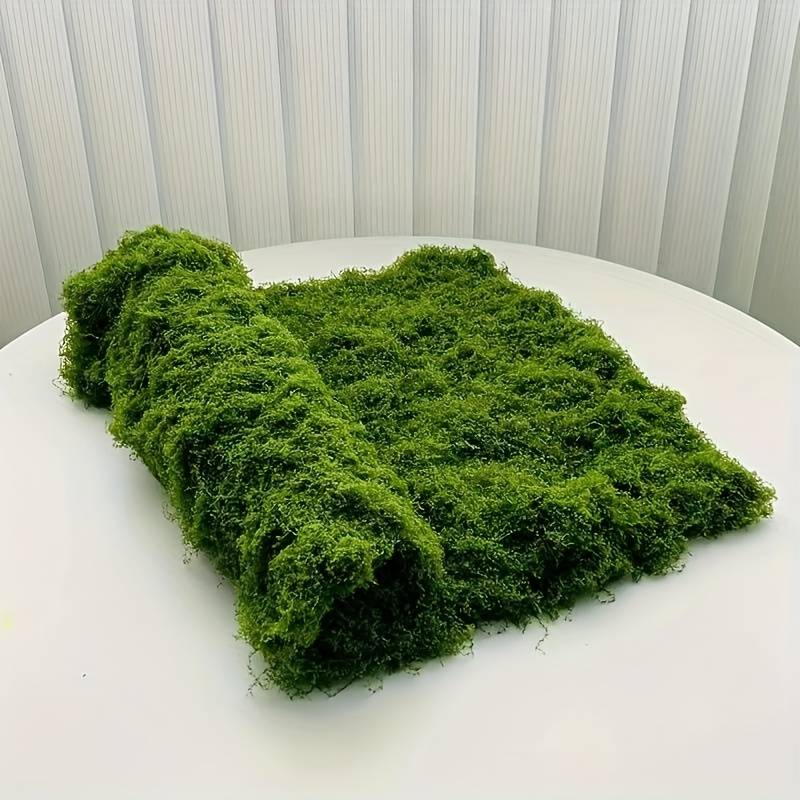 6 x 6 Meter Künstliche Moosmat – Sphagnum Moss Dry Bewertung und Preis