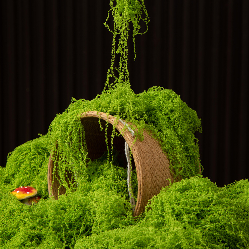 200g Ewiges Leben Moos DIY Bas – Sphagnum Moss Dry Bewertung und Preis