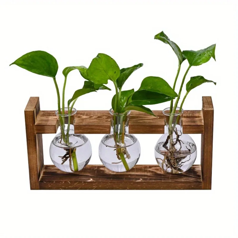 Tischplatte aus Glas, Pflanzge – Propagation Station Vase Bewertung und Preis