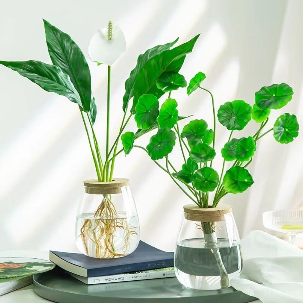 Transparenter Hydroponischer B – Propagation Station Vase Bewertung und Preis