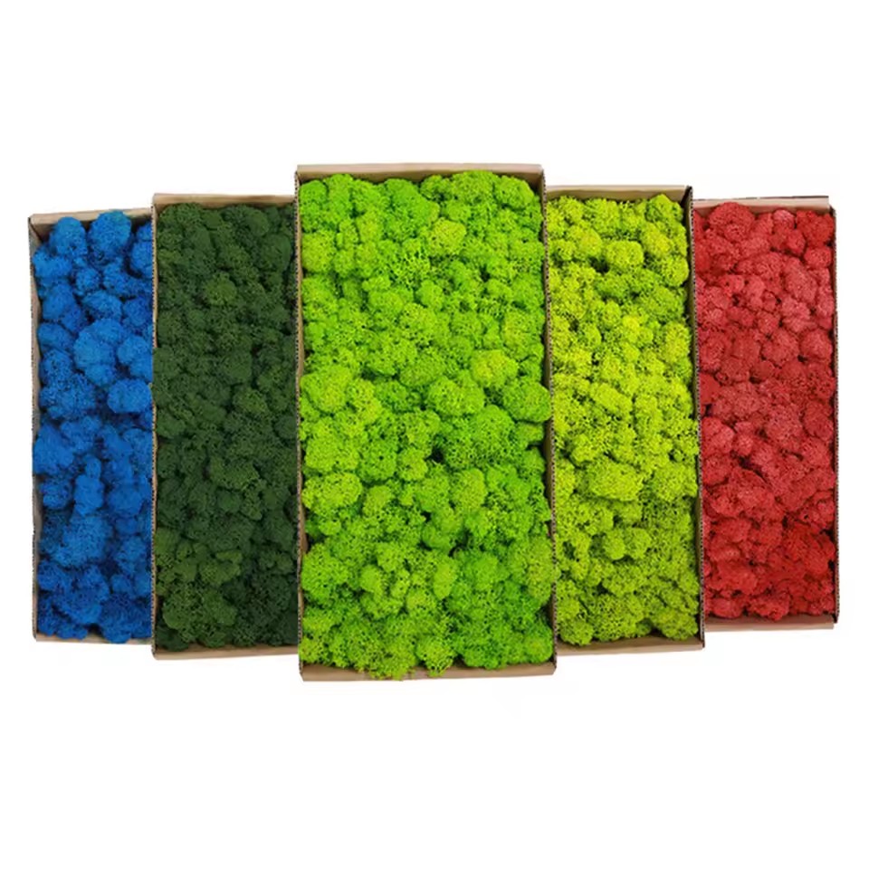 20–200 g künstliche Grünpflanz – Sphagnum Moss Dry Bewertung und Preis