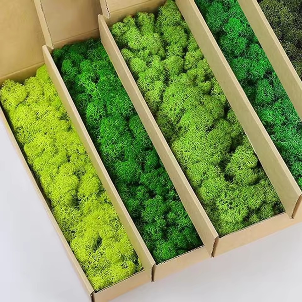 20–200 g künstliche Grünpflanz – Sphagnum Moss Dry Bewertung und Preis