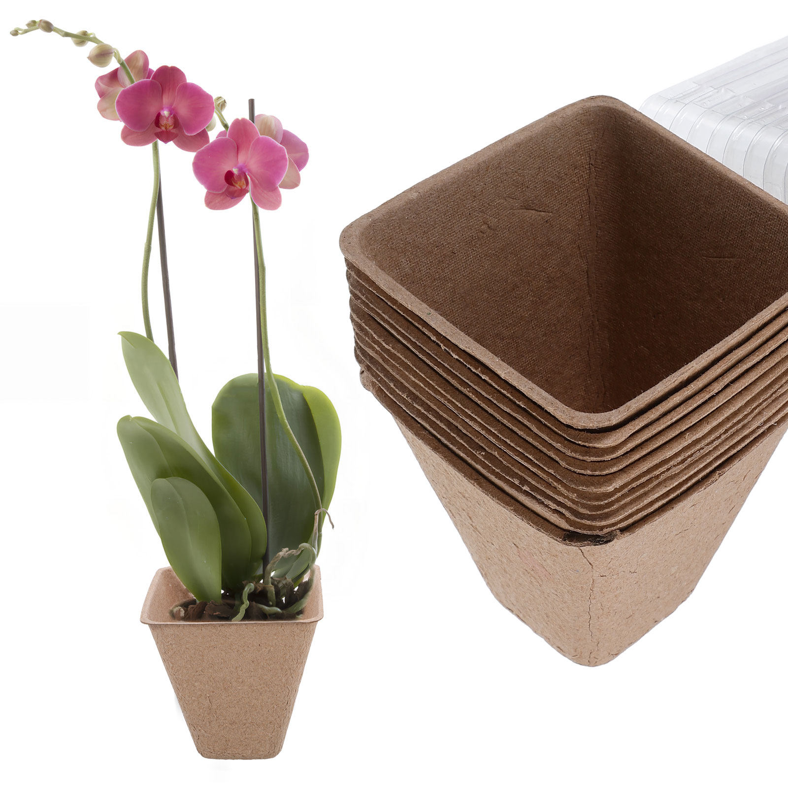 10-teiliges Set biologisch abb – Humidity Dome Kit Bewertung und Preis