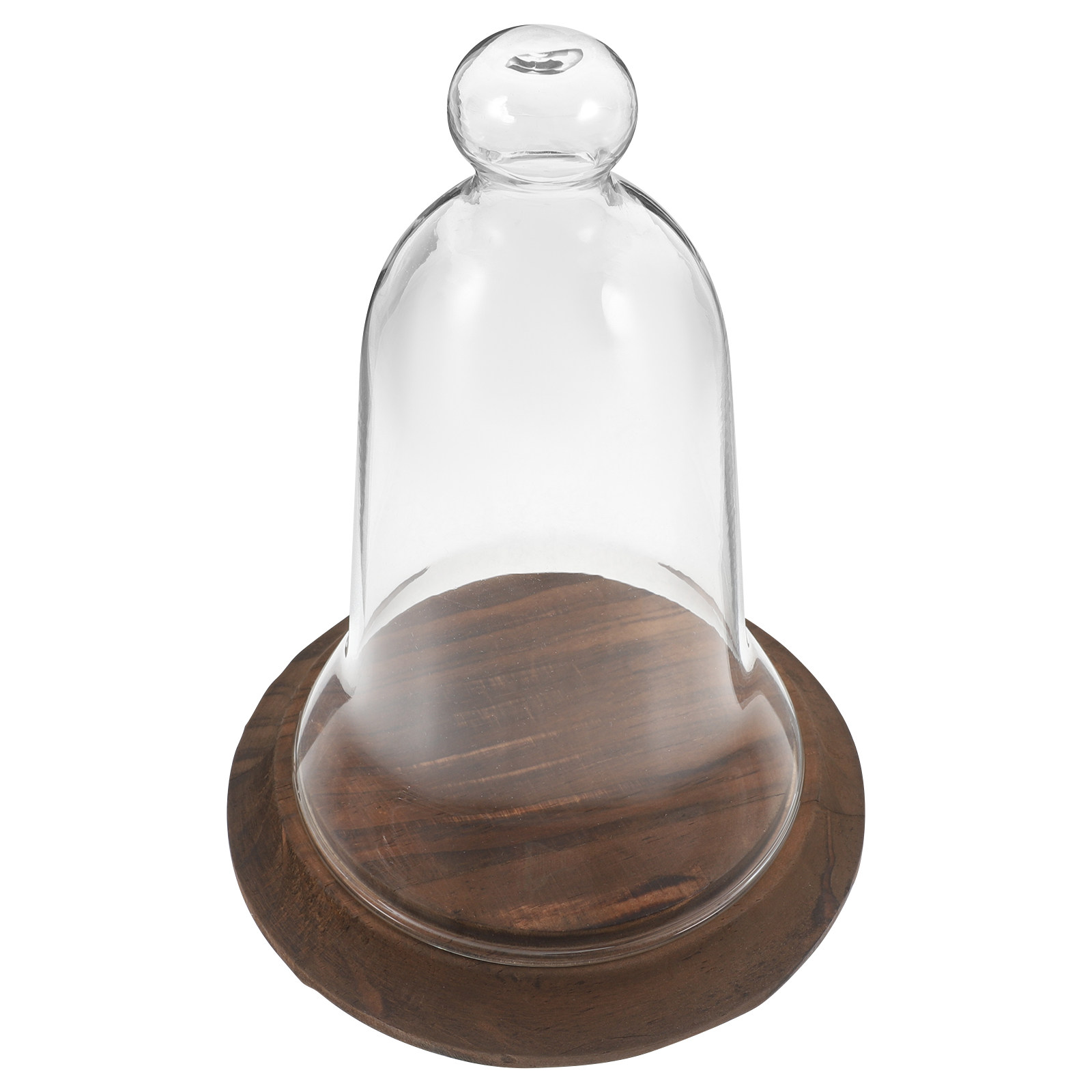Glas-Kuppel-Displayabdeckung a – Plastic Dome Clear Bewertung und Preis
