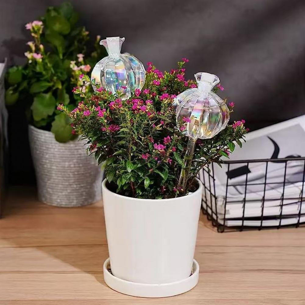 24 cm selbstbewässernde Kaktus – Self Watering Insert Bewertung und Preis
