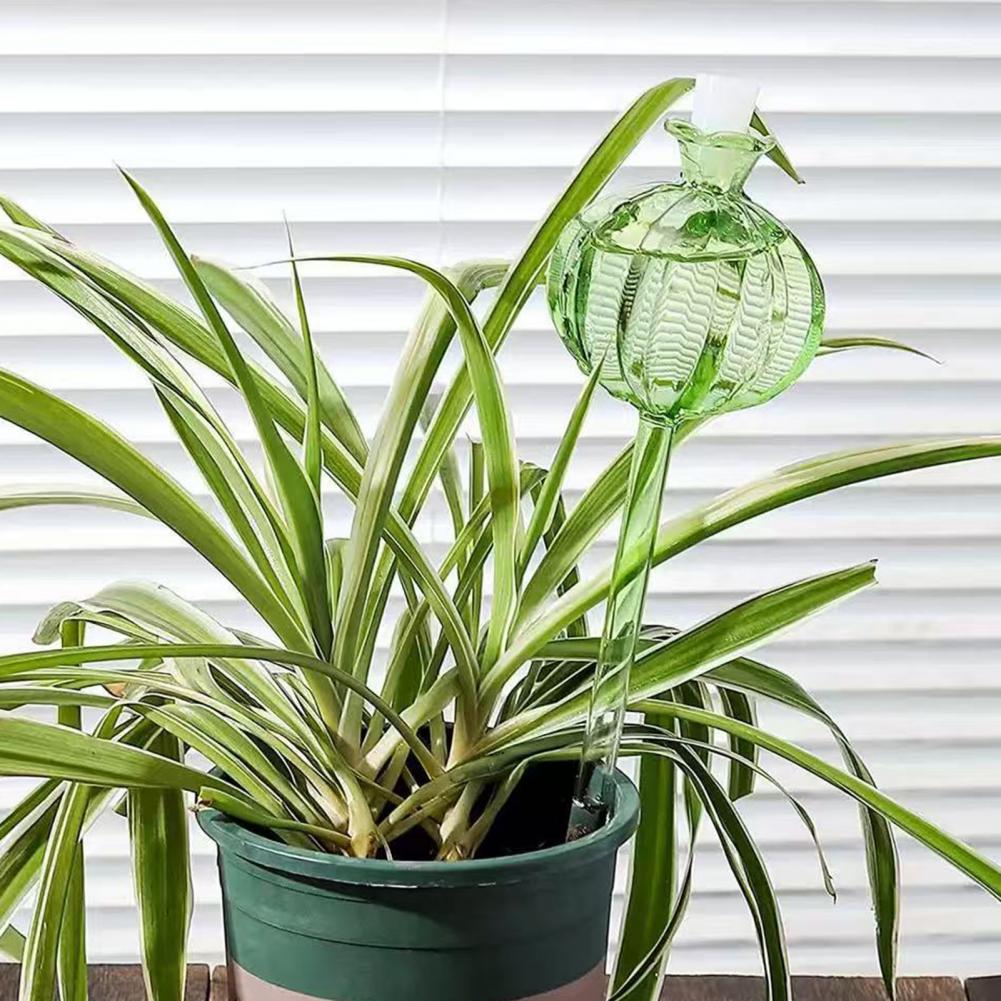 24 cm selbstbewässernde Kaktus – Self Watering Insert Bewertung und Preis