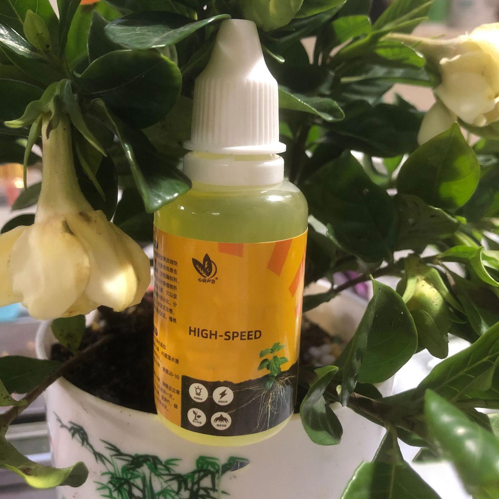 50 ml Pflanzenwurzel-Stimulato – Root Stimulator Liquid Bewertung und Preis