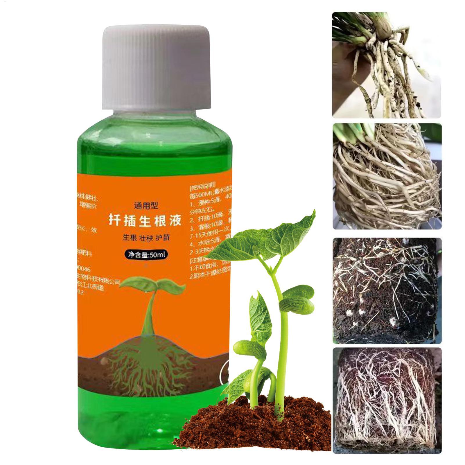 50 ml Transplantations-Nährlös – Root Stimulator Liquid Bewertung und Preis