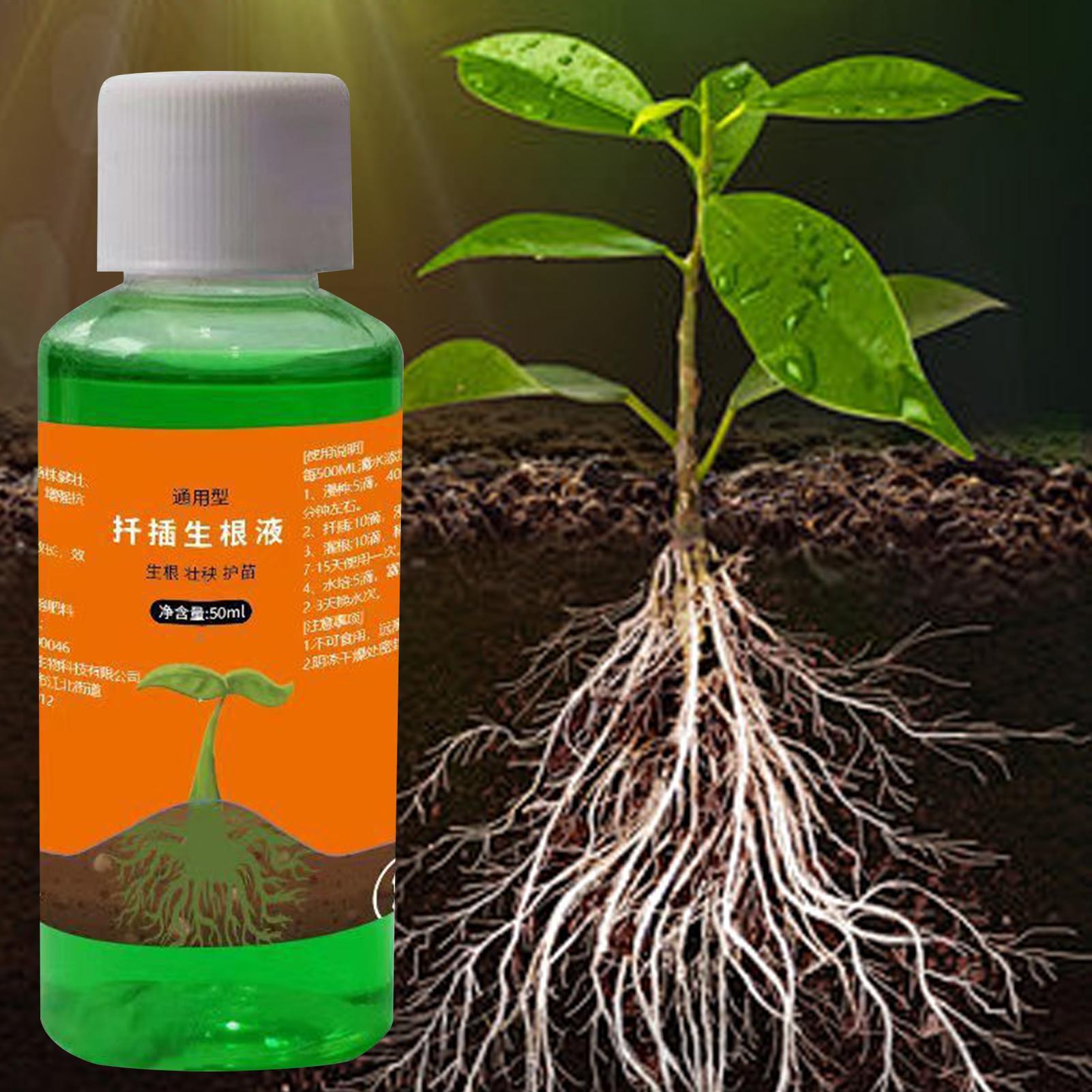 50 ml Transplantations-Nährlös – Root Stimulator Liquid Bewertung und Preis