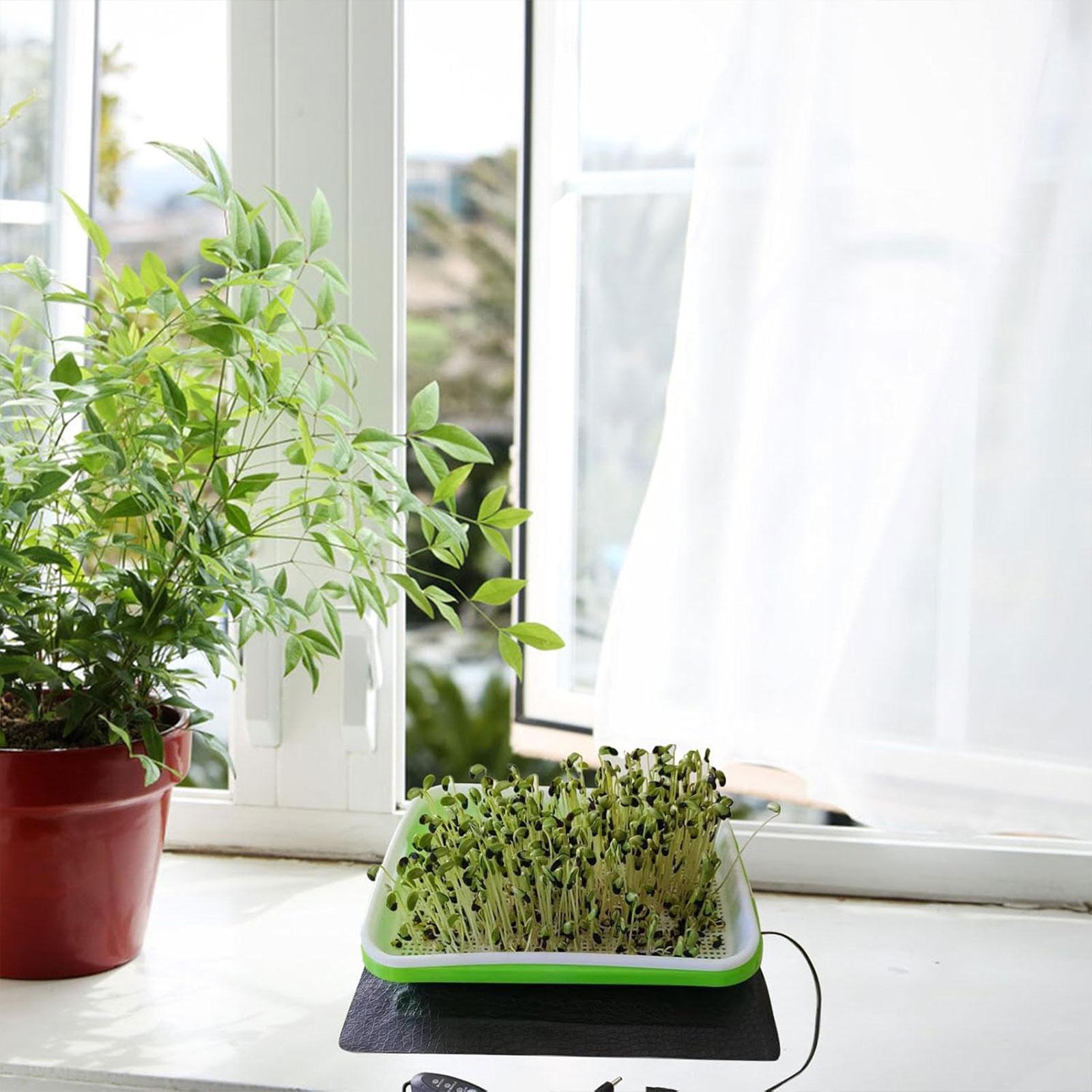 Hydroponische Heizmatte für Sä – Heat Mat Seedling Bewertung und Preis