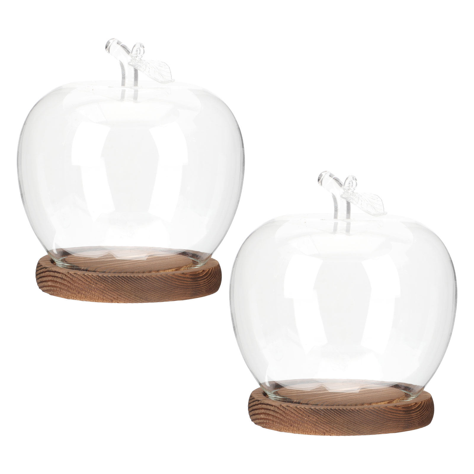 2 Stück Glasglocke mit Holzsoc – Plastic Dome Clear Bewertung und Preis