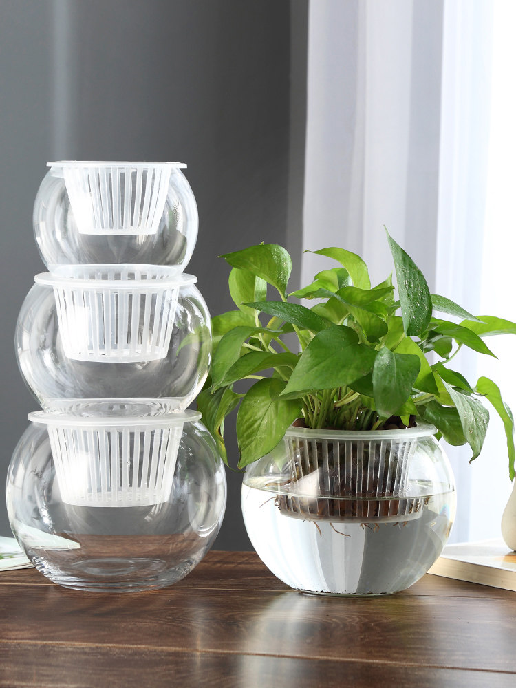 Hydroponische Glasvase, Grüne  – Propagation Station Vase Bewertung und Preis